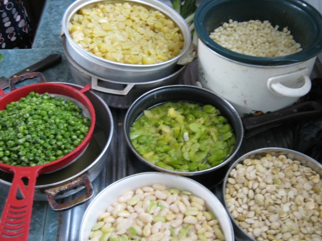 Some of the 12 grains and beans used to elaborate fanesca. (Front to back, left to right) Frijol blanco, chocho, arveja, habas, melloco and choclo. photo © Lorraine Caputo 