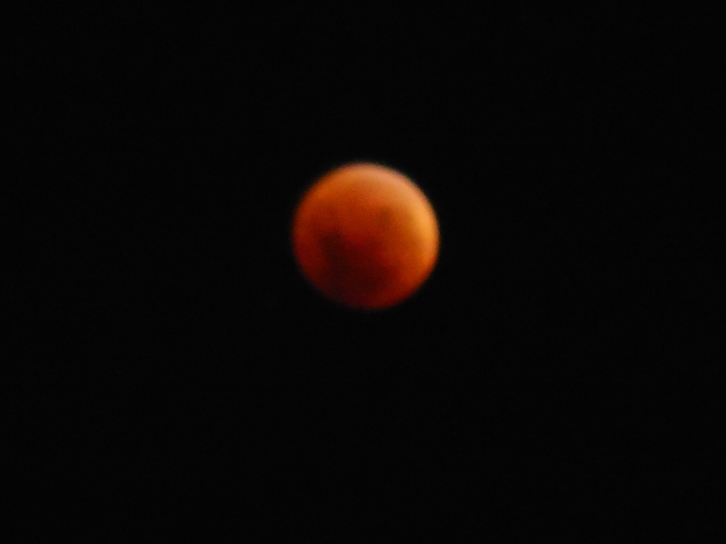 lunar eclipse, moon
