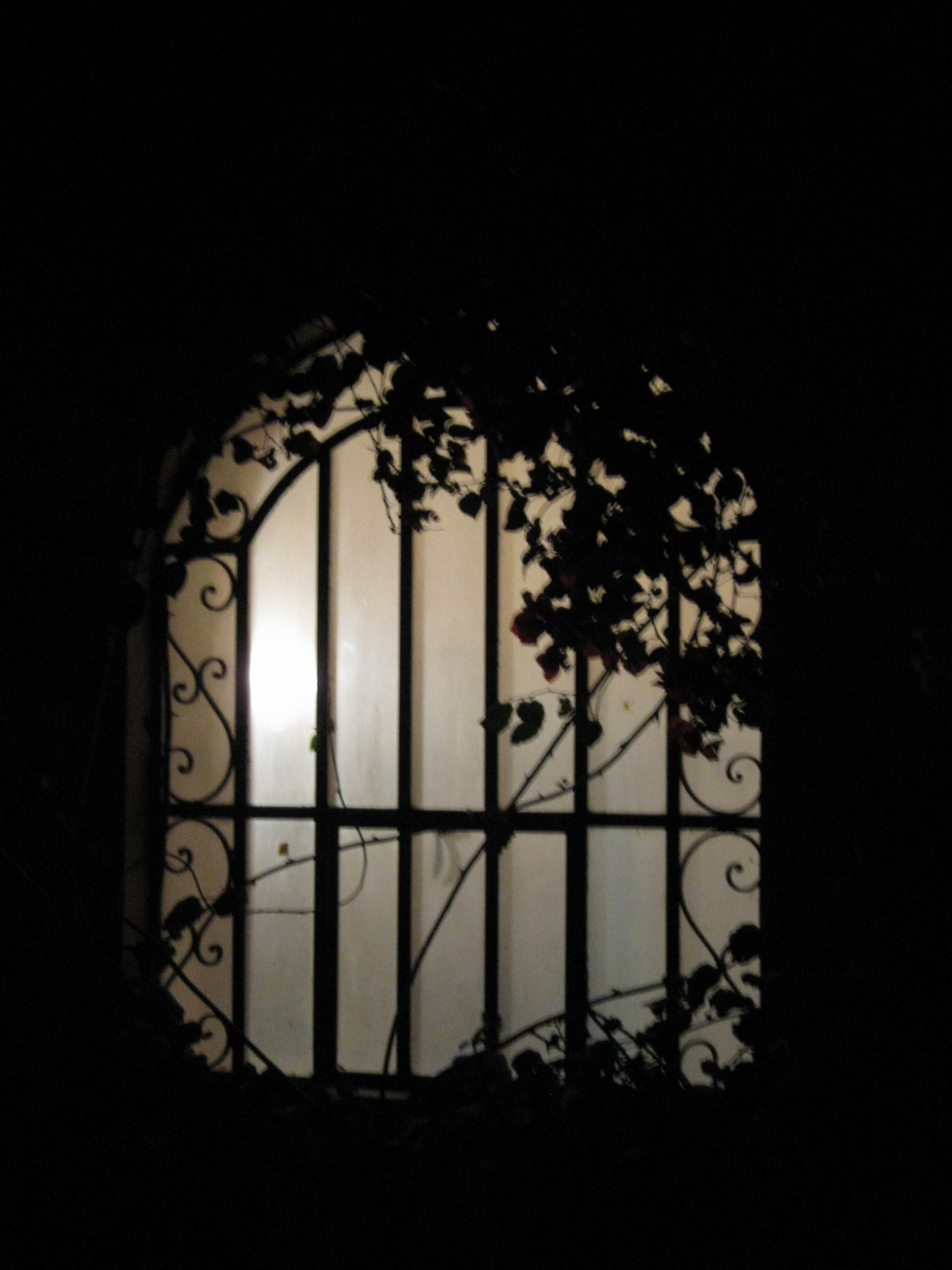 Midnight Murmurs -- window